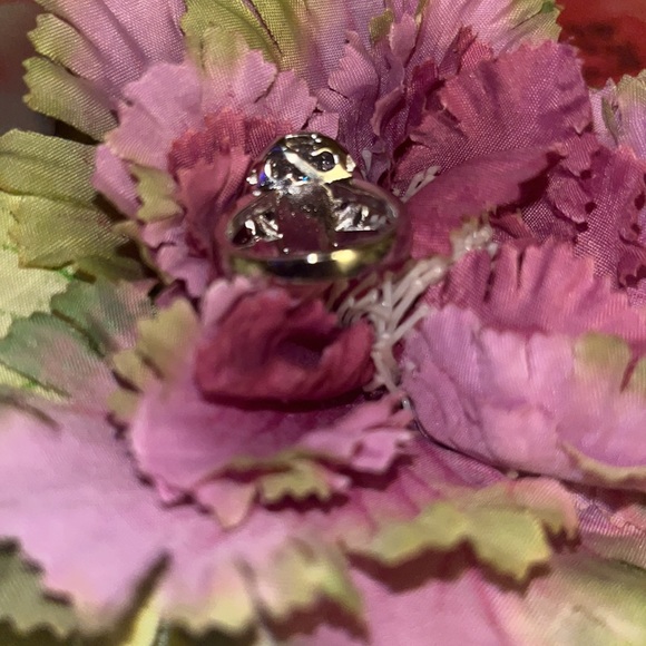 Vampire Twilight Bella AAAAA Zircon Engagement Ring S925 size 7 - Picture 4 of 11